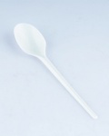 ps disposabl spoon