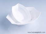 disposable plate